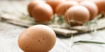 Jajko – Znaczenie I Symbolika Snów 6