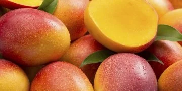 Mango – Znaczenie I Symbolika Snów 11