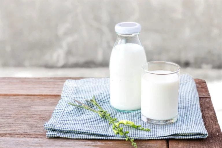 Mleko – Znaczenie I Symbolika Snów 1