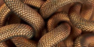 Wiele Węży – Znaczenie I Symbolika Snów 90