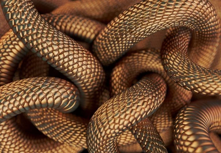 Wiele Węży – Znaczenie I Symbolika Snów 1